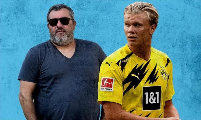 综合体育门户实时资讯发布 国内外体育动态一站获取